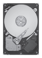 ������� ���� Seagate ST9900805SS