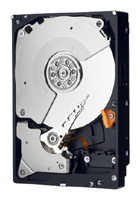 Жесткий диск Western Digital WD3001FAEX Жесткий диск Western Digital WD3001FAEX