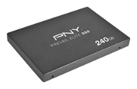 ������� ���� PNY SSD9SC240GEDA-PB
