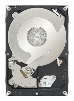 ������� ���� Seagate ST1000DX001