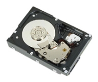 Жесткий диск Dell 400-ACNE Жесткий диск Dell 400-ACNE