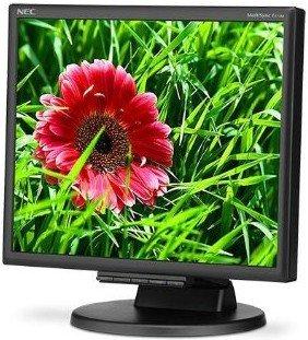Монитор NEC MultiSync E171M Монитор NEC MultiSync E171M