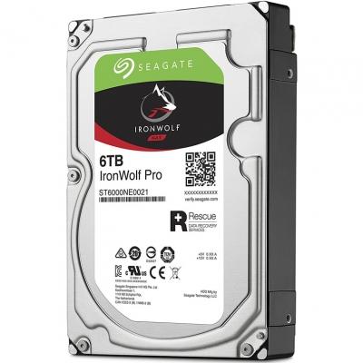 ������� ���� Seagate ST6000NE0021
