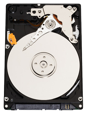 ������� ���� Western Digital Scorpio Blue 320 ��