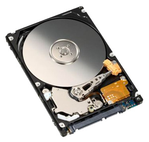 Жесткий диск Fujitsu-Siemens MHZ2250BH Жесткий диск Fujitsu-Siemens MHZ2250BH