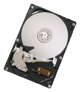 Жесткий диск Hitachi HDP725032GLAT80 Жесткий диск Hitachi HDP725032GLAT80