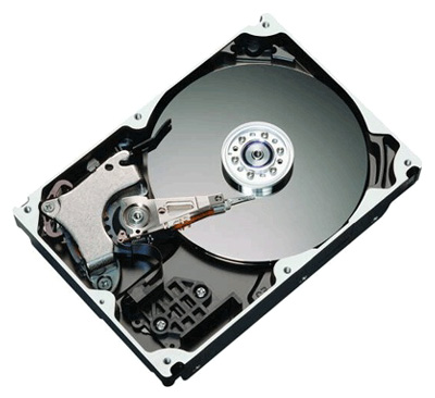 Жесткий диск Seagate STM31000340AS Жесткий диск Seagate STM31000340AS