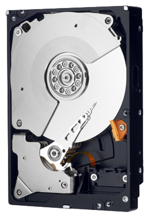 Жесткий диск Western Digital Caviar Black 1 ТБ Жесткий диск Western Digital Caviar Black 1 ТБ