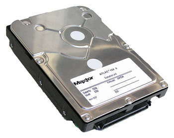 ������� ���� Seagate 8E036L0