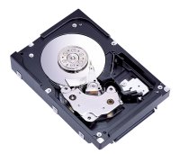 Жесткий диск Fujitsu-Siemens MAW3073NC Жесткий диск Fujitsu-Siemens MAW3073NC