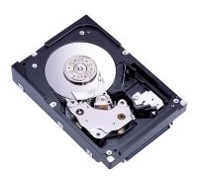 Жесткий диск Fujitsu-Siemens MAX3036NC Жесткий диск Fujitsu-Siemens MAX3036NC