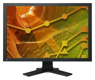 ������� Eizo FlexScan S2402W