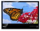 Купить Монитор Asus MS236H (MS236H) фото 2 Купить Монитор Asus MS236H (MS236H) фото 2