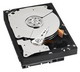Купить Жесткий диск Western Digital Caviar Black 1 ТБ (WD1002FAEX) фото 1 Купить Жесткий диск Western Digital Caviar Black 1 ТБ (WD1002FAEX) фото 1