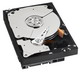 Купить Жесткий диск Western Digital Caviar Black 500 ГБ (WD5001AALS) фото 2 Купить Жесткий диск Western Digital Caviar Black 500 ГБ (WD5001AALS) фото 2