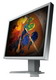 ������ ������� Eizo FlexScan S2100 (S2100) ���� 1