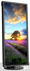 ������ ������� NEC MultiSync EA294WMi (EA294WMi-BK) ���� 3