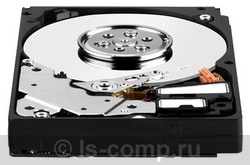 ������ ������� ���� Western Digital VelociRaptor 2.5" 300 �� (WD3000BLFS) ���� 2