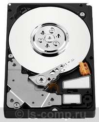 Купить Жесткий диск Western Digital VelociRaptor 2.5" 150 ГБ (WD1500BLFS) фото 1 Купить Жесткий диск Western Digital VelociRaptor 2.5" 150 ГБ (WD1500BLFS) фото 1