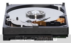 ������ ������� ���� Western Digital WD5000AAKX (WD5000AAKX) ���� 2
