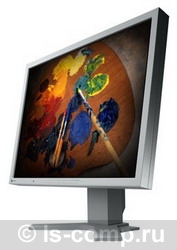 ������ ������� Eizo FlexScan S2100 (S2100) ���� 1