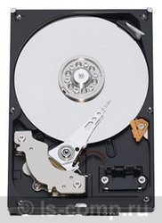 Купить Жесткий диск Western Digital WD5000AAKX (WD5000AAKX) фото 1 Купить Жесткий диск Western Digital WD5000AAKX (WD5000AAKX) фото 1