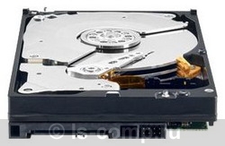 ������ ������� ���� Western Digital WD5003ABYZ (WD5003ABYZ) ���� 2