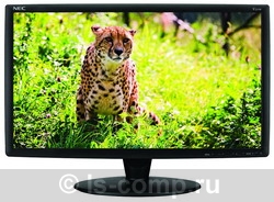 ������ ������� NEC MultiSync V221W (LCDV221W-BK) ���� 2