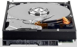 ������ ������� ���� Western Digital WD40EZRX (WD40EZRX) ���� 2