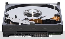 Купить Жесткий диск Western Digital Caviar Green 640 ГБ (WD6400AADS) фото 2 Купить Жесткий диск Western Digital Caviar Green 640 ГБ (WD6400AADS) фото 2