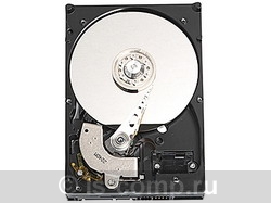 ������ ������� ���� Western Digital WD5000AAJS (WD5000AAJS) ���� 3