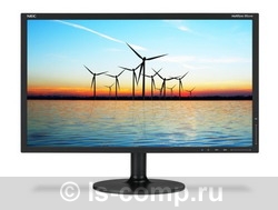 ������ ������� NEC MultiSync EX201W (EX201W-BK) ���� 2
