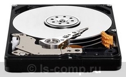 Купить Жесткий диск Western Digital WD5000BPVT (WD5000BPVT) фото 1 Купить Жесткий диск Western Digital WD5000BPVT (WD5000BPVT) фото 1