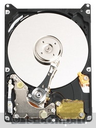 ������ ������� ���� Western Digital Scorpio Blue 250 �� (WD2500BEVE) ���� 1