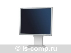 ������ ������� NEC MultiSync EA191M (LCDEA191M) ���� 2