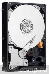 Купить Жесткий диск Western Digital Caviar Green 500 ГБ (WD5000AADS) фото 1 Купить Жесткий диск Western Digital Caviar Green 500 ГБ (WD5000AADS) фото 1
