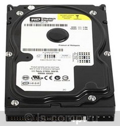 Купить Жесткий диск Western Digital Caviar Blue 250 ГБ (WD2500AAJB) фото 1 Купить Жесткий диск Western Digital Caviar Blue 250 ГБ (WD2500AAJB) фото 1