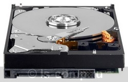 Купить Жесткий диск Western Digital Caviar Green 800 ГБ (WD8000AARS) фото 2 Купить Жесткий диск Western Digital Caviar Green 800 ГБ (WD8000AARS) фото 2