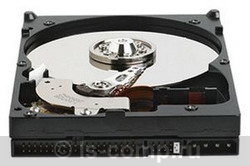 Купить Жесткий диск Western Digital Caviar Blue 80 ГБ (WD800AAJB) фото 1 Купить Жесткий диск Western Digital Caviar Blue 80 ГБ (WD800AAJB) фото 1