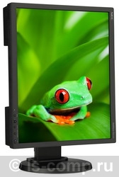 ������ ������� NEC MultiSync EA192M (L190NY) ���� 2