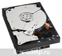 Купить Жесткий диск Western Digital Caviar Black 500 ГБ (WD5001AALS) фото 2 Купить Жесткий диск Western Digital Caviar Black 500 ГБ (WD5001AALS) фото 2