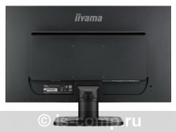 ������ ������� Iiyama ProLite E2481HS-1 (E2481HS-B1) ���� 3