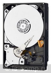 Купить Жесткий диск Western Digital WD25EZRSDTL (WD25EZRSDTL) фото 1 Купить Жесткий диск Western Digital WD25EZRSDTL (WD25EZRSDTL) фото 1