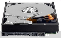 Купить Жесткий диск Western Digital Caviar Green 500 ГБ (WD5000AADS) фото 2 Купить Жесткий диск Western Digital Caviar Green 500 ГБ (WD5000AADS) фото 2