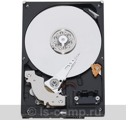 ������ ������� ���� Western Digital WD800AAJS (WD800AAJS) ���� 3