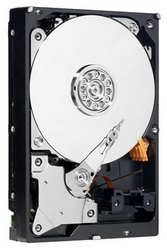 ������� ���� Western Digital Caviar Green 2��
