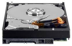 ������� ���� Western Digital Caviar Green 640 ��