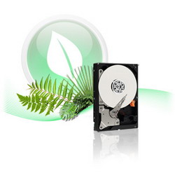 ������� ���� Western Digital Caviar Green 640 ��