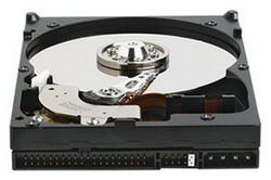 Жесткий диск Western Digital Caviar Blue 80 ГБ Жесткий диск Western Digital Caviar Blue 80 ГБ