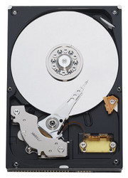 ������� ���� Western Digital WD800JB
